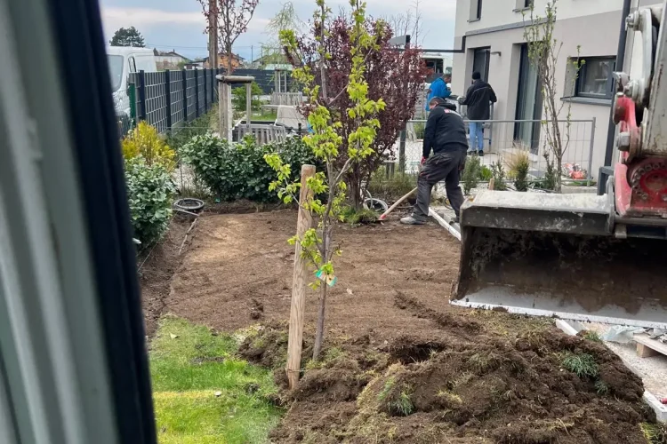 pfingstrosenweg gallery